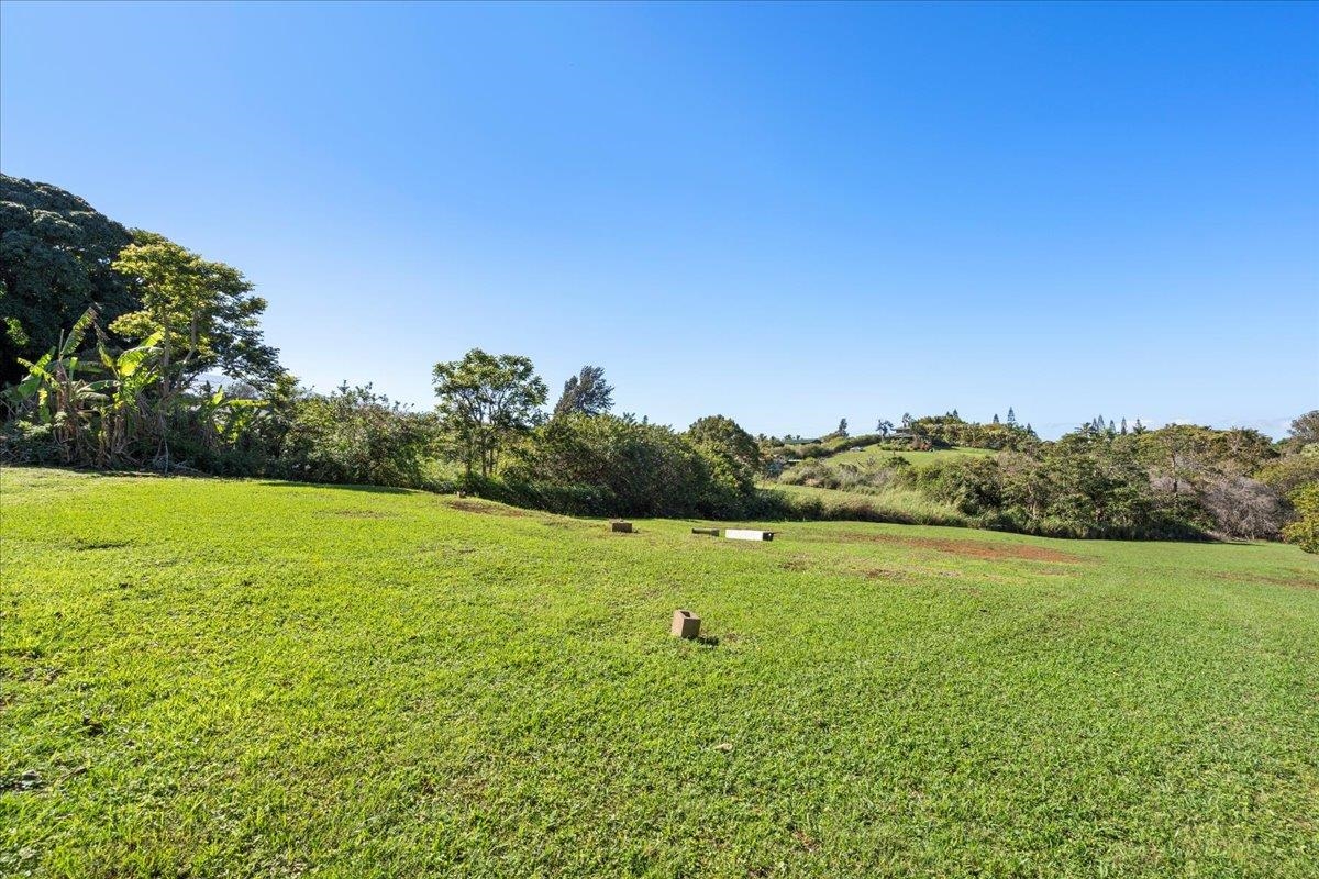 2226  Lilikoi Rd Lilikoi Farm Lots, Haiku home - photo 40 of 47