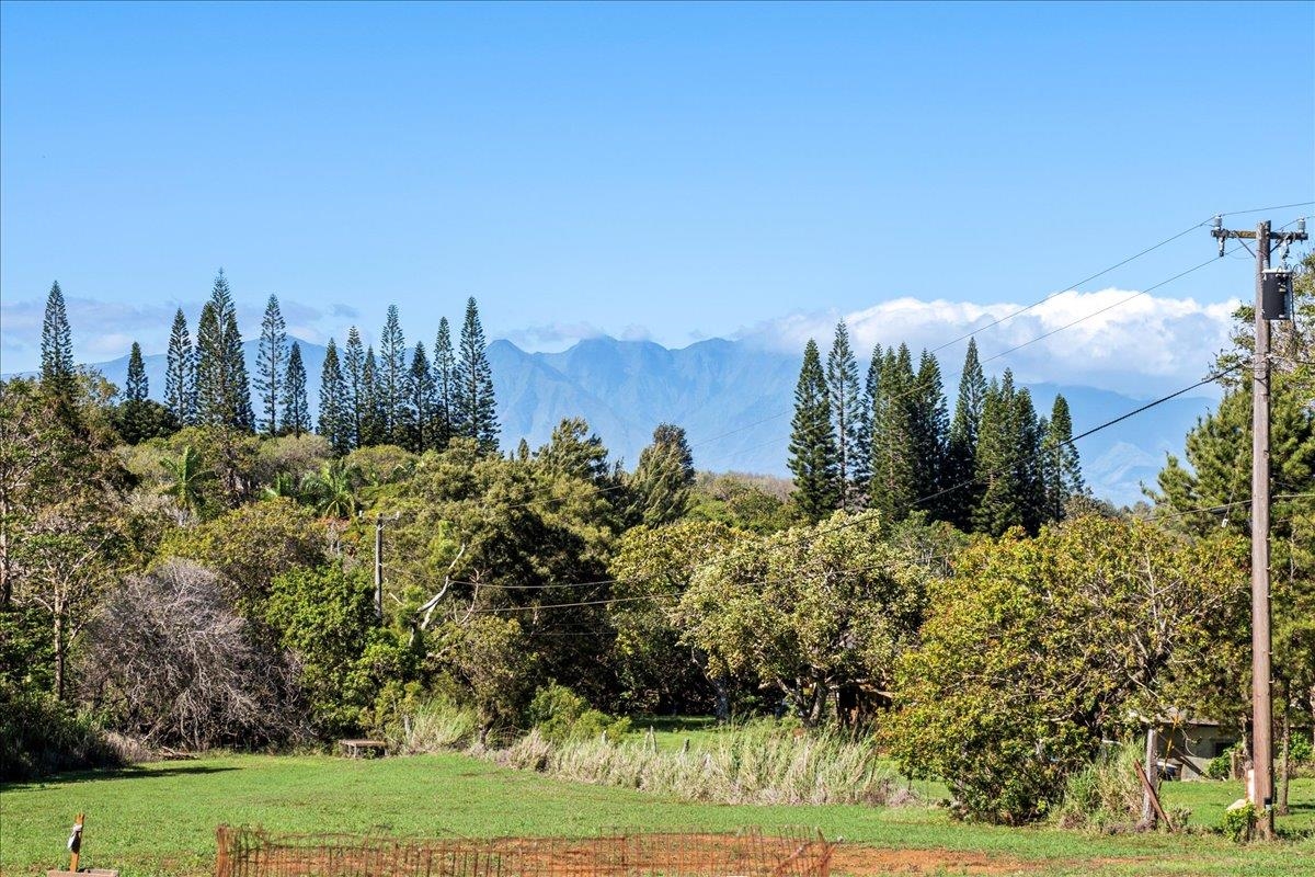 2226  Lilikoi Rd Lilikoi Farm Lots, Haiku home - photo 41 of 50