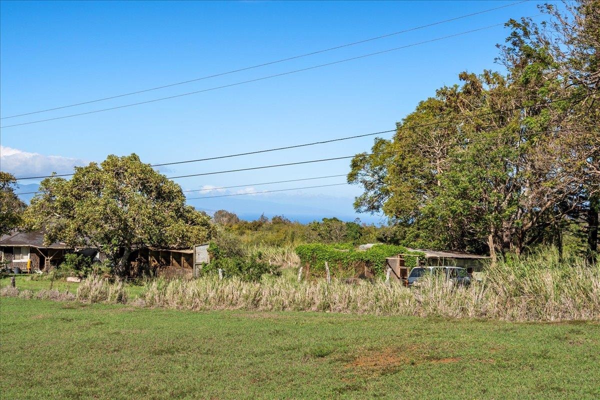 2226  Lilikoi Rd Lilikoi Farm Lots, Haiku home - photo 44 of 47