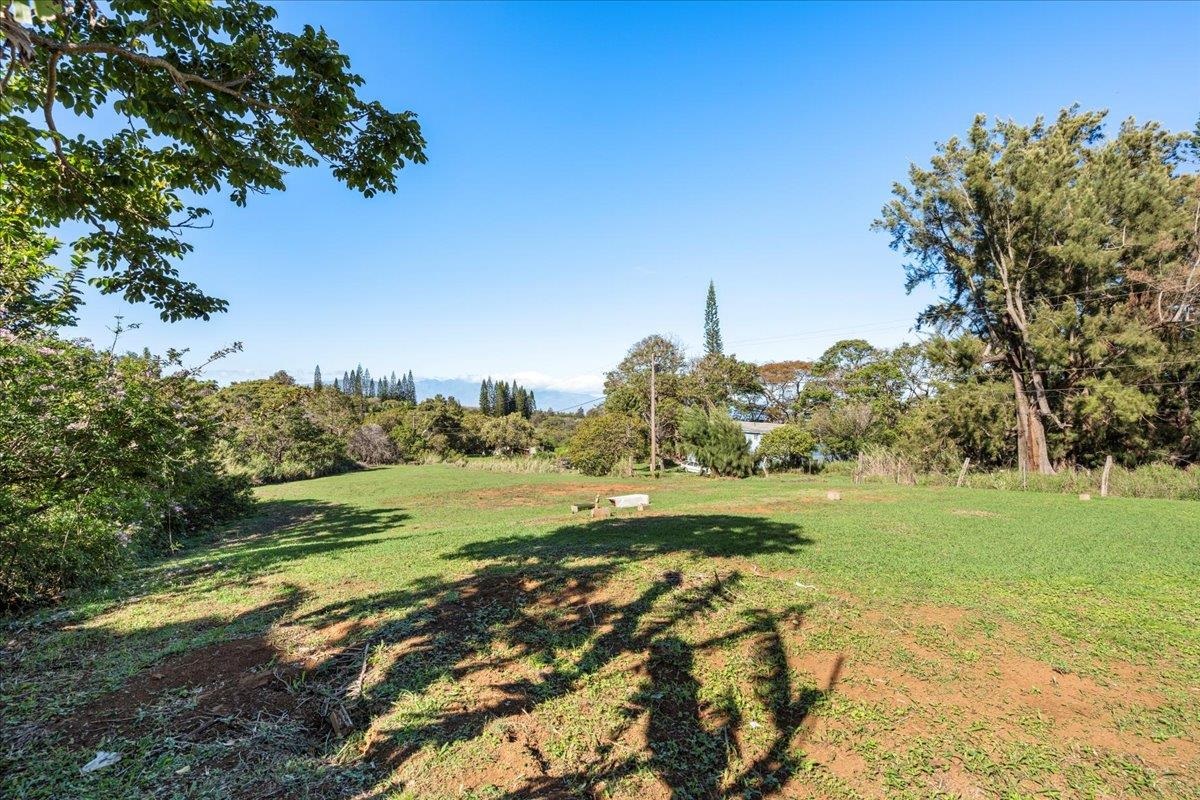 2226  Lilikoi Rd Lilikoi Farm Lots, Haiku home - photo 45 of 50