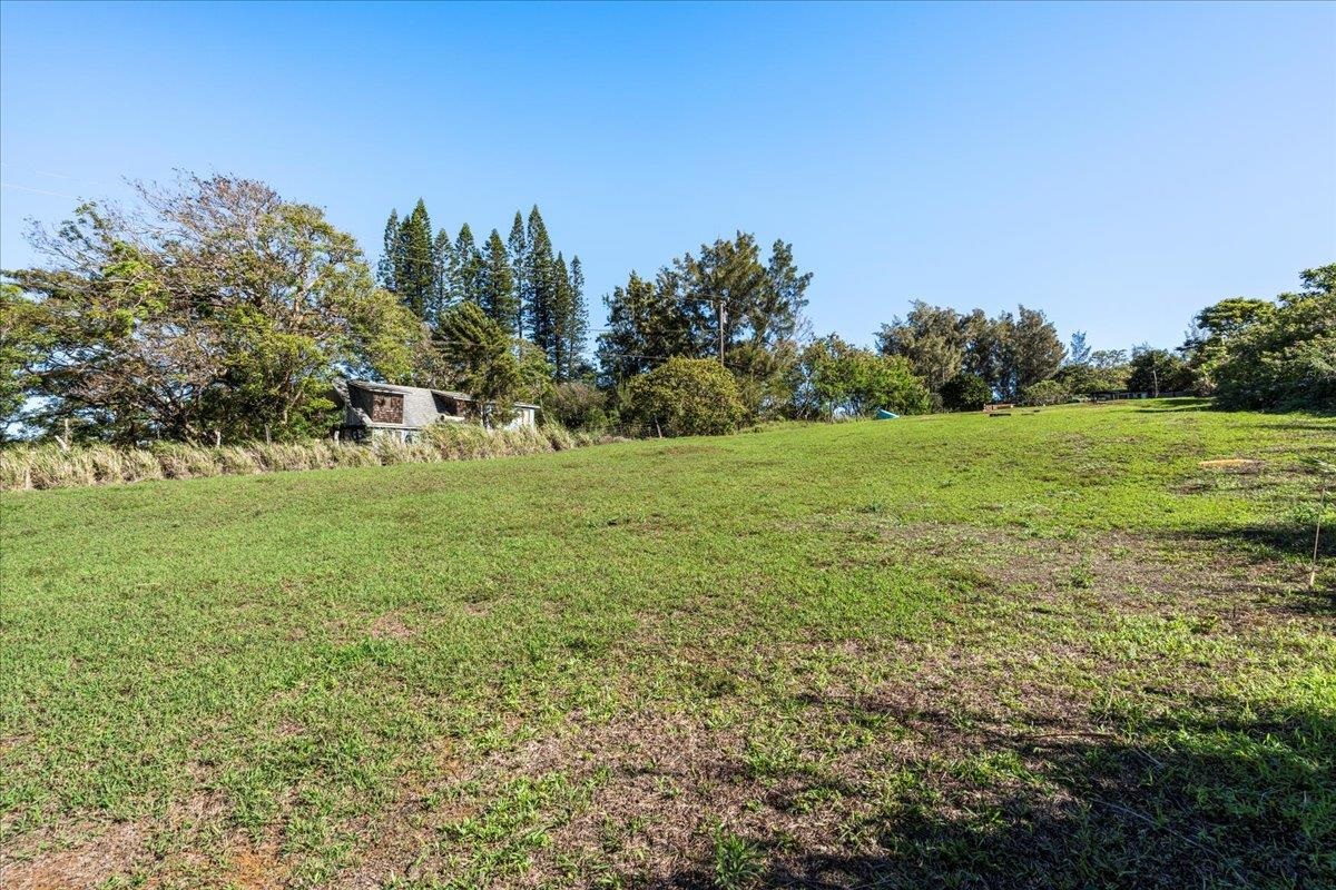 2226  Lilikoi Rd Lilikoi Farm Lots, Haiku home - photo 48 of 50