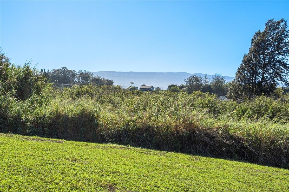 2226  Lilikoi Rd Lilikoi Farm Lots, Haiku home - photo 49 of 50