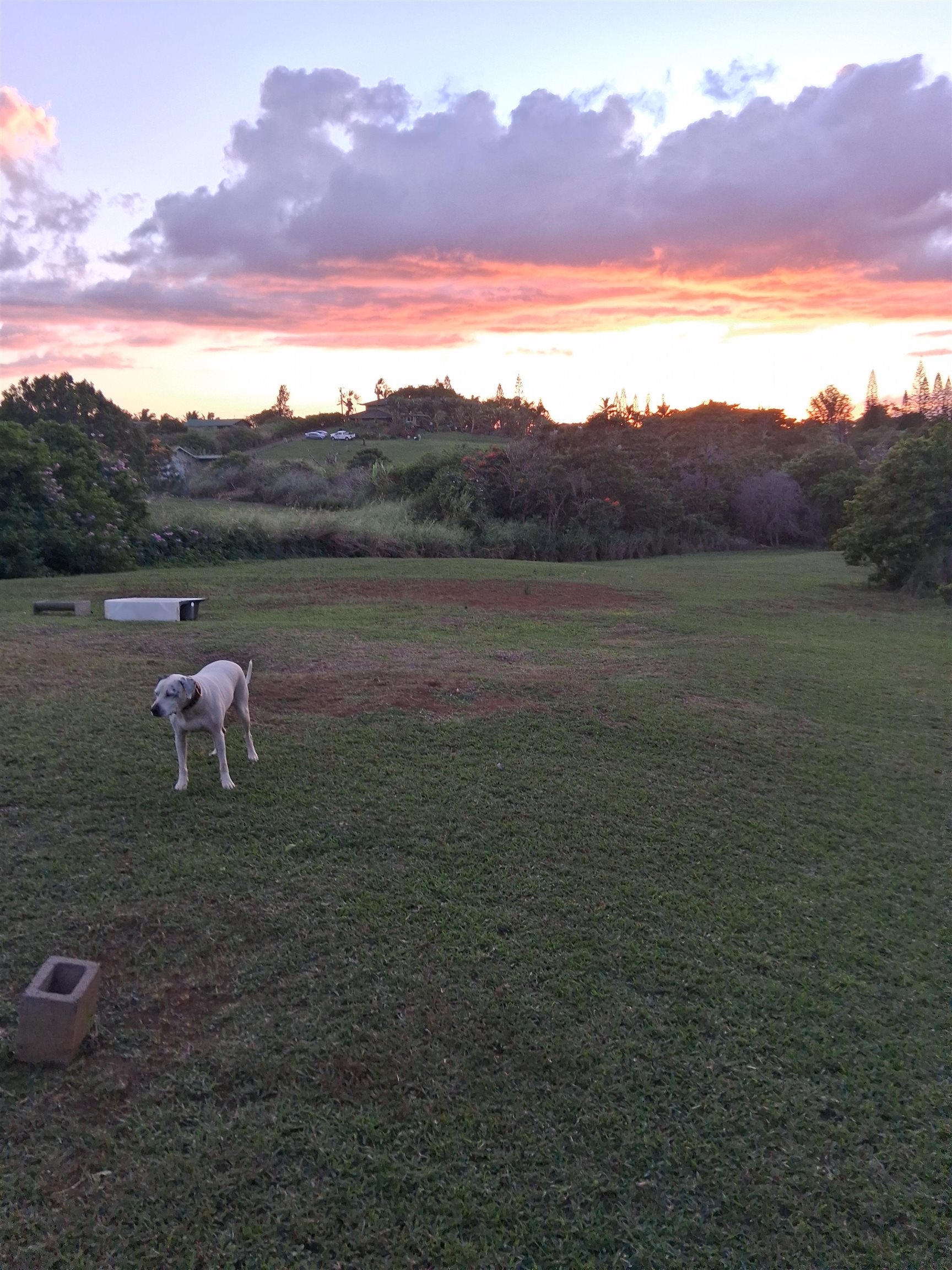 2226  Lilikoi Rd Lilikoi Farm Lots, Haiku home - photo 50 of 50
