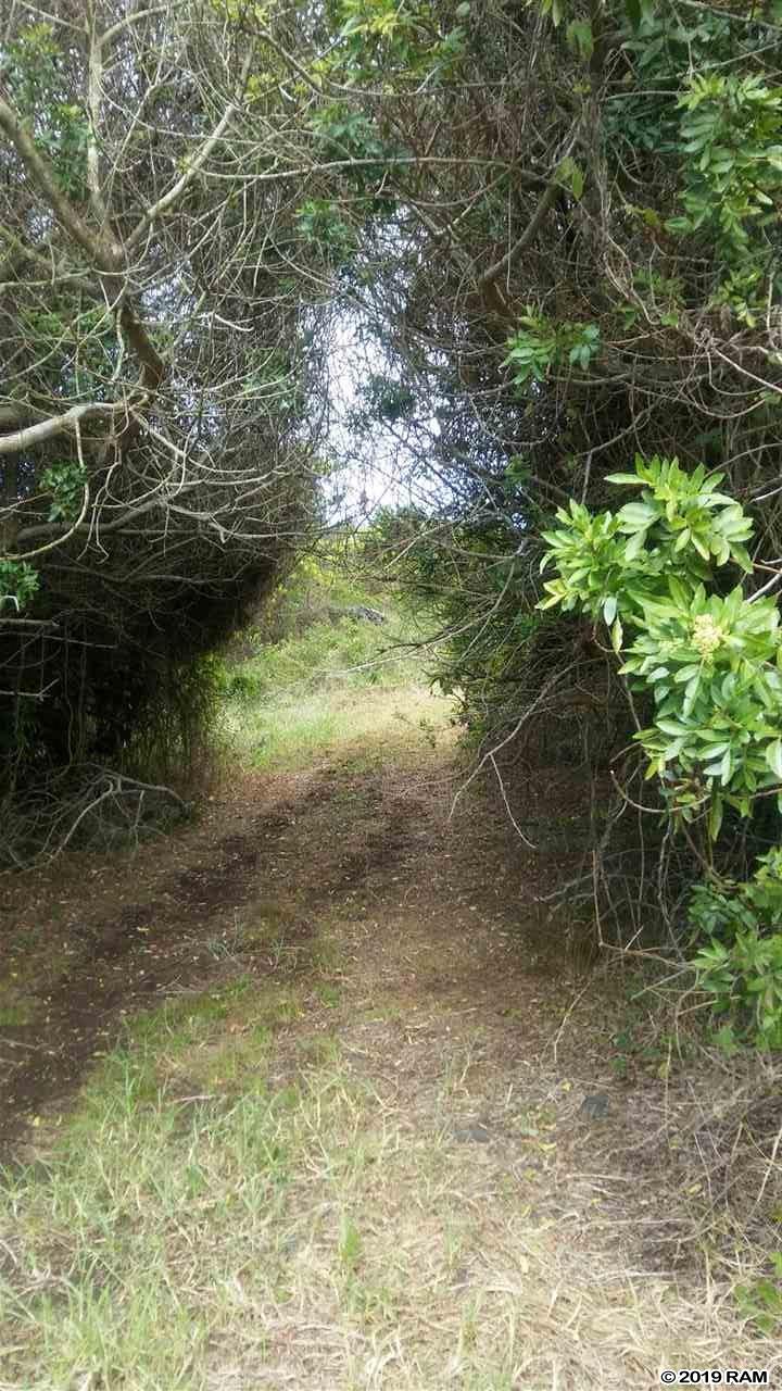 2227 Upper Kanaio Rd 20 Kula, Hi vacant land for sale - photo 12 of 20