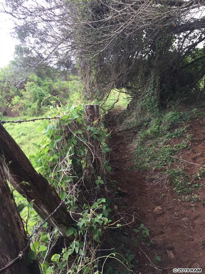 2227 Upper Kanaio Rd 20 Kula, Hi vacant land for sale - photo 13 of 20