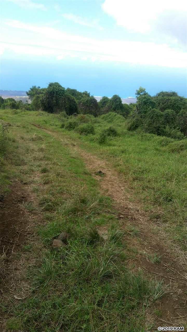 2227 Upper Kanaio Rd 20 Kula, Hi vacant land for sale - photo 14 of 20