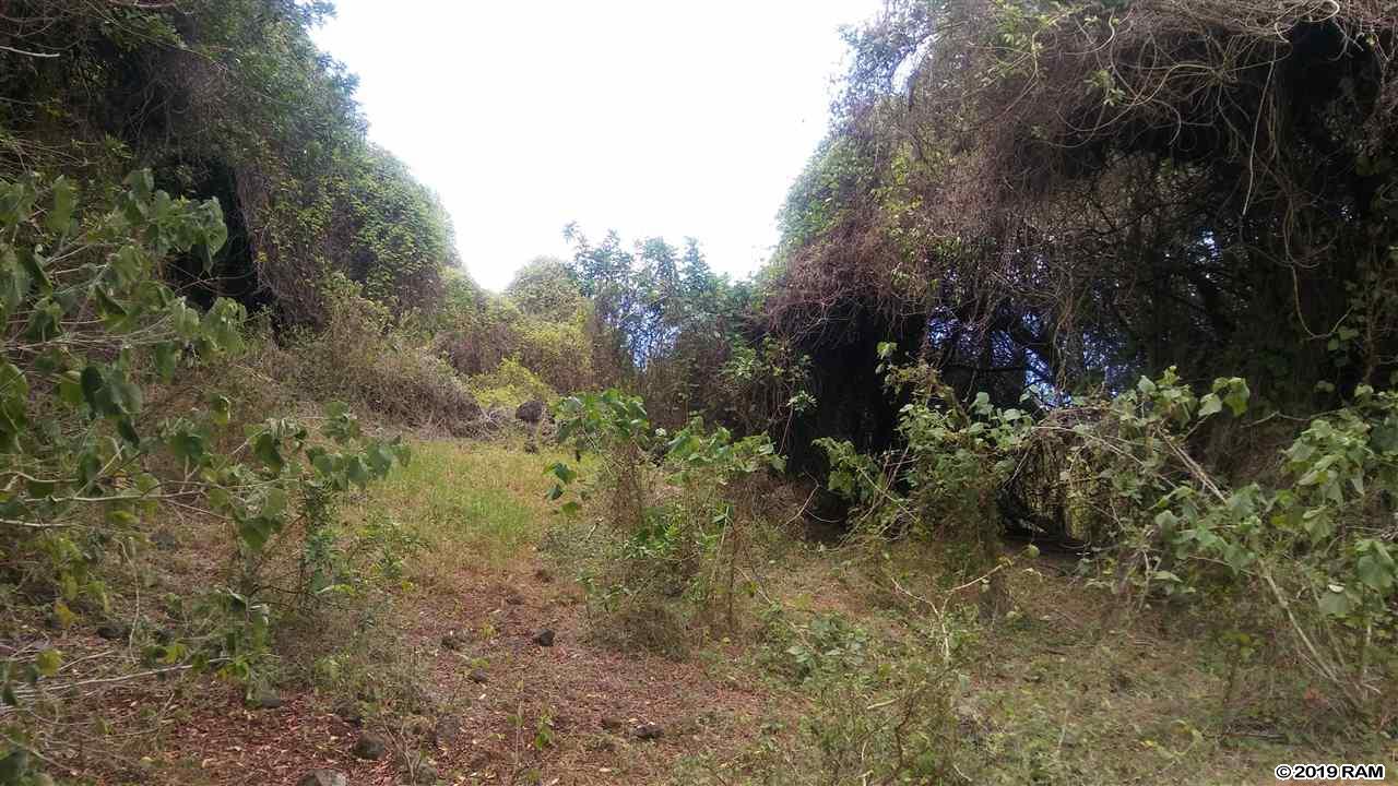 2227 Upper Kanaio Rd 20 Kula, Hi vacant land for sale - photo 16 of 20