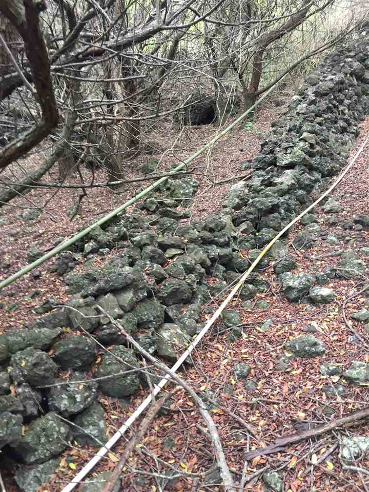 2227 Upper Kanaio Rd 20 Kula, Hi vacant land for sale - photo 18 of 20