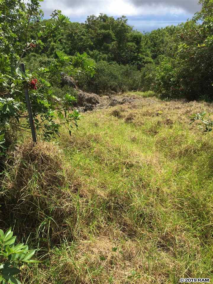 2227 Upper Kanaio Rd 20 Kula, Hi vacant land for sale - photo 20 of 20