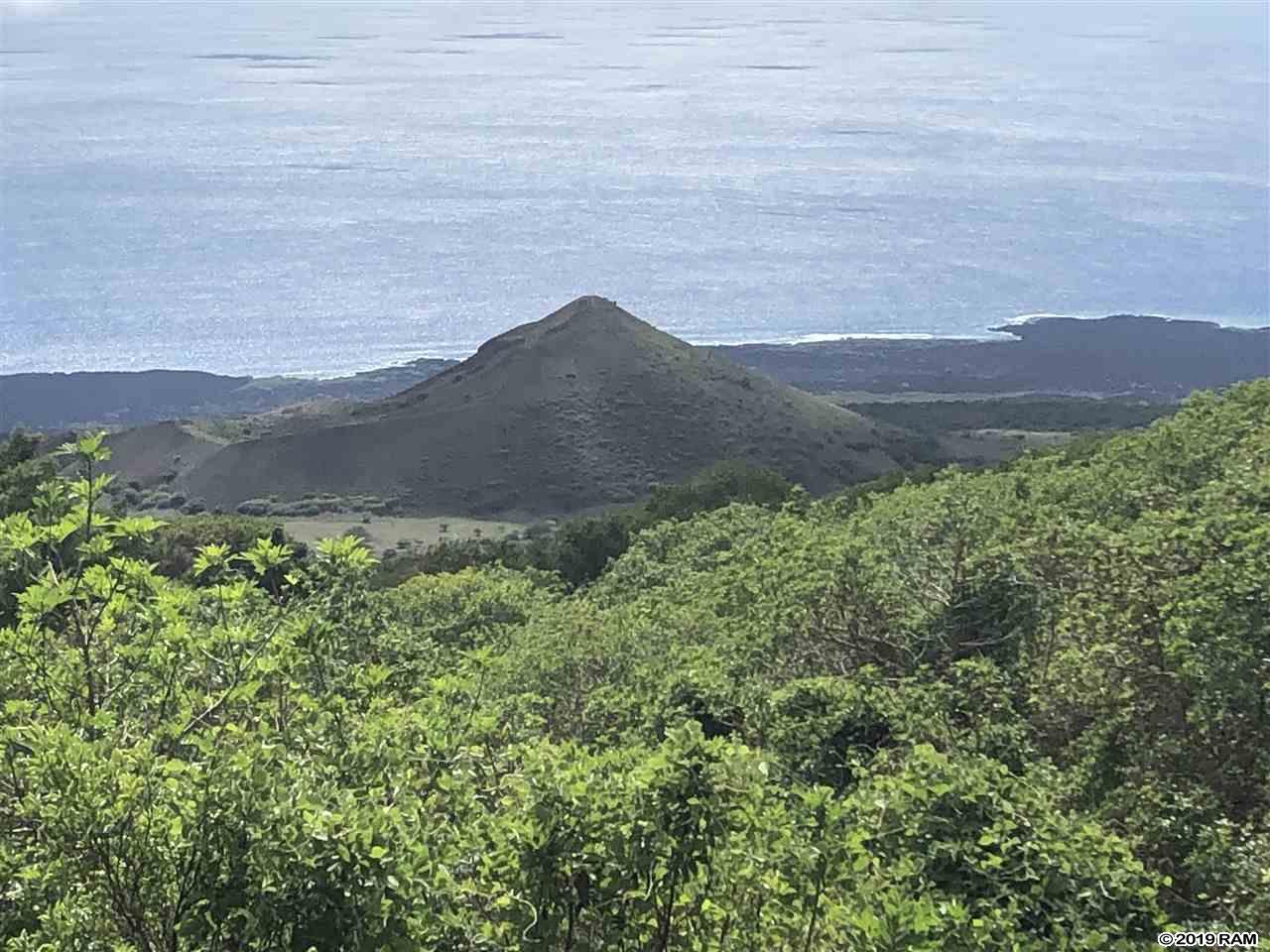 2227 Upper Kanaio Rd 20 Kula, Hi vacant land for sale - photo 3 of 20