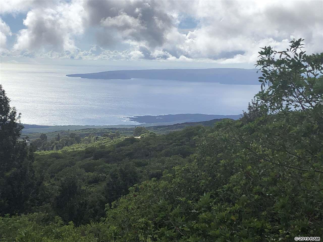 2227 Upper Kanaio Rd 20 Kula, Hi vacant land for sale - photo 4 of 20