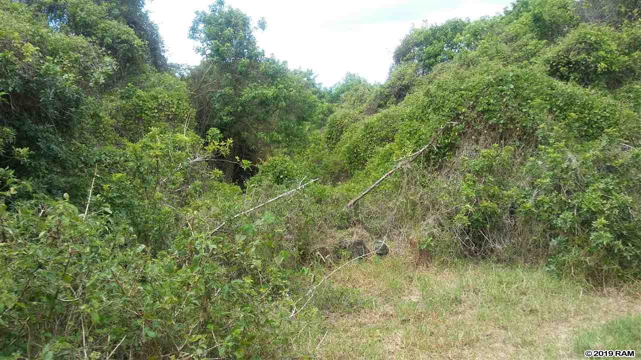2227 Upper Kanaio Rd 20 Kula, Hi vacant land for sale - photo 5 of 20