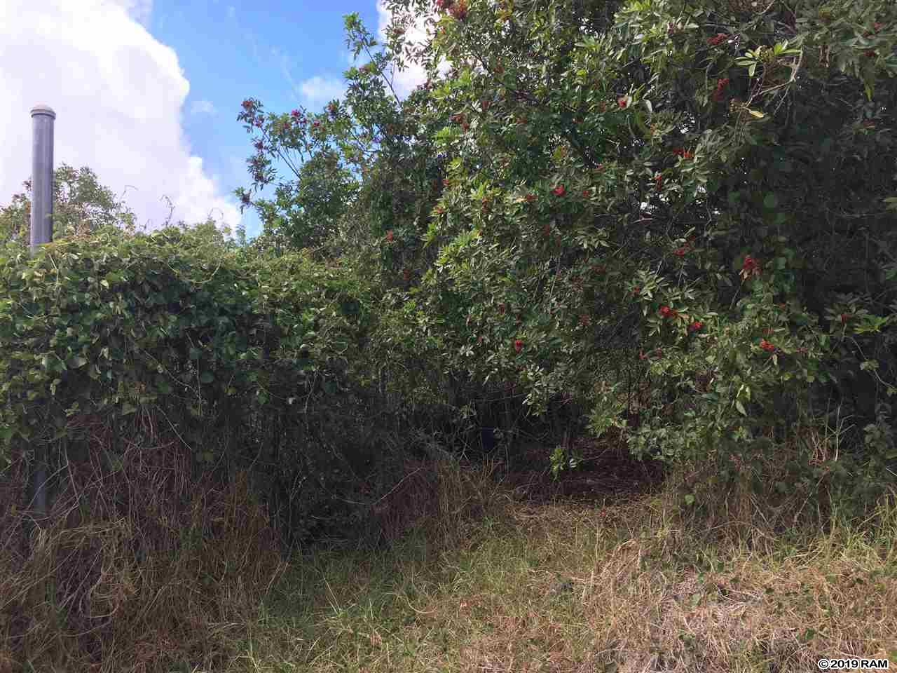 2227 Upper Kanaio Rd 20 Kula, Hi vacant land for sale - photo 6 of 20