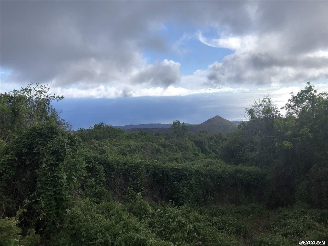2227 Upper Kanaio Rd 20 Kula, Hi vacant land for sale - photo 7 of 20