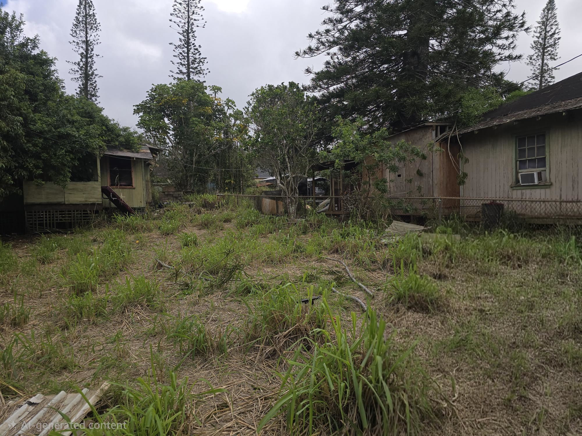 223  Gay Pl , Lanai home - photo 2 of 3