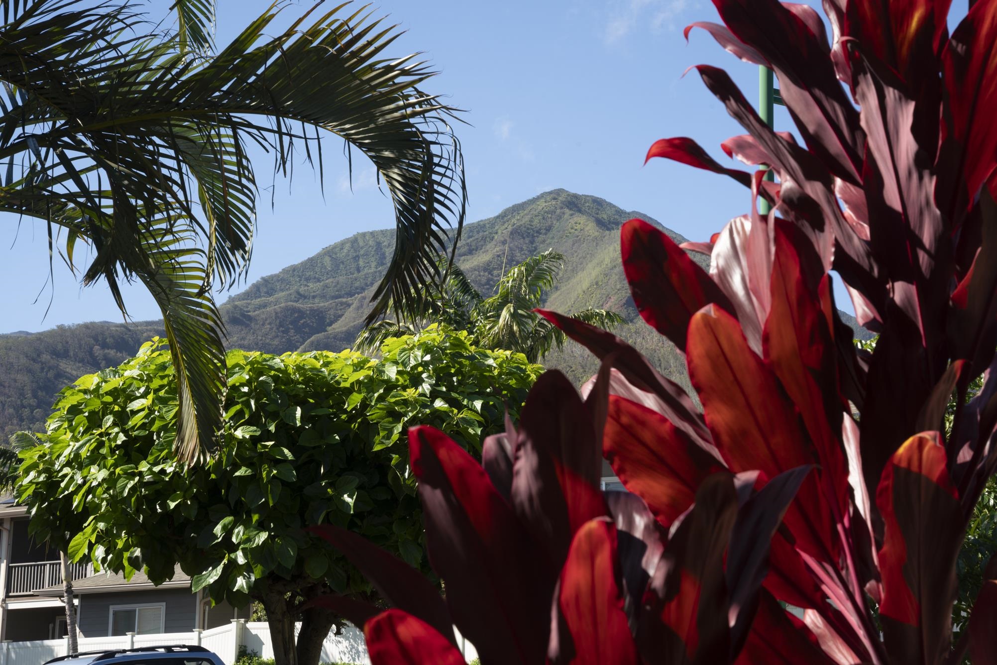 Milo Court at Kehalani condo # 38, Wailuku, Hawaii - photo 44 of 50
