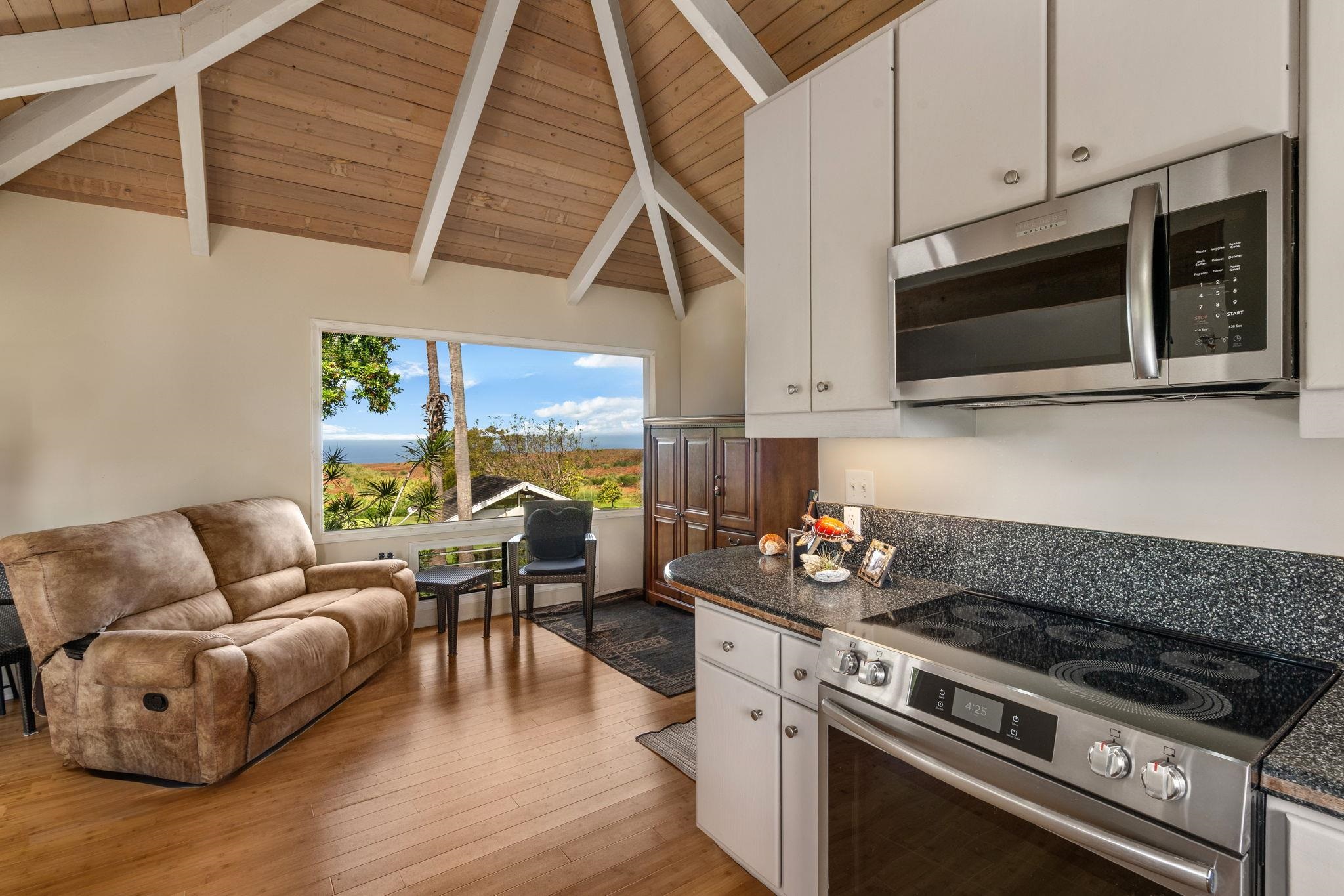 223  Pau Hana Rd Pau Hana Estates, Makawao/Olinda/Haliimaile home - photo 17 of 50