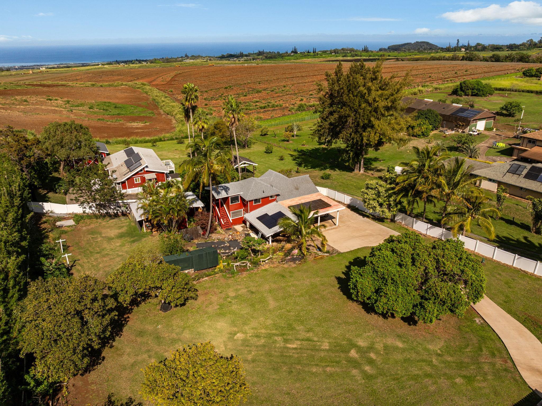 223  Pau Hana Rd Pau Hana Estates, Makawao/Olinda/Haliimaile home - photo 4 of 50
