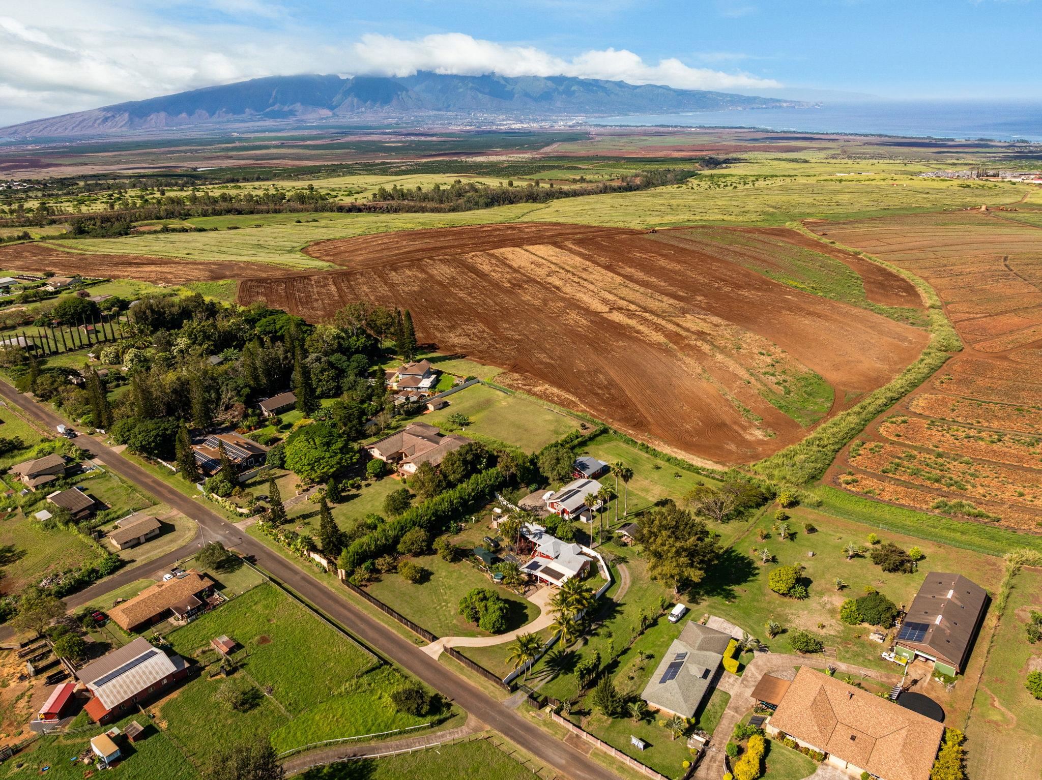223  Pau Hana Rd Pau Hana Estates, Makawao/Olinda/Haliimaile home - photo 39 of 50
