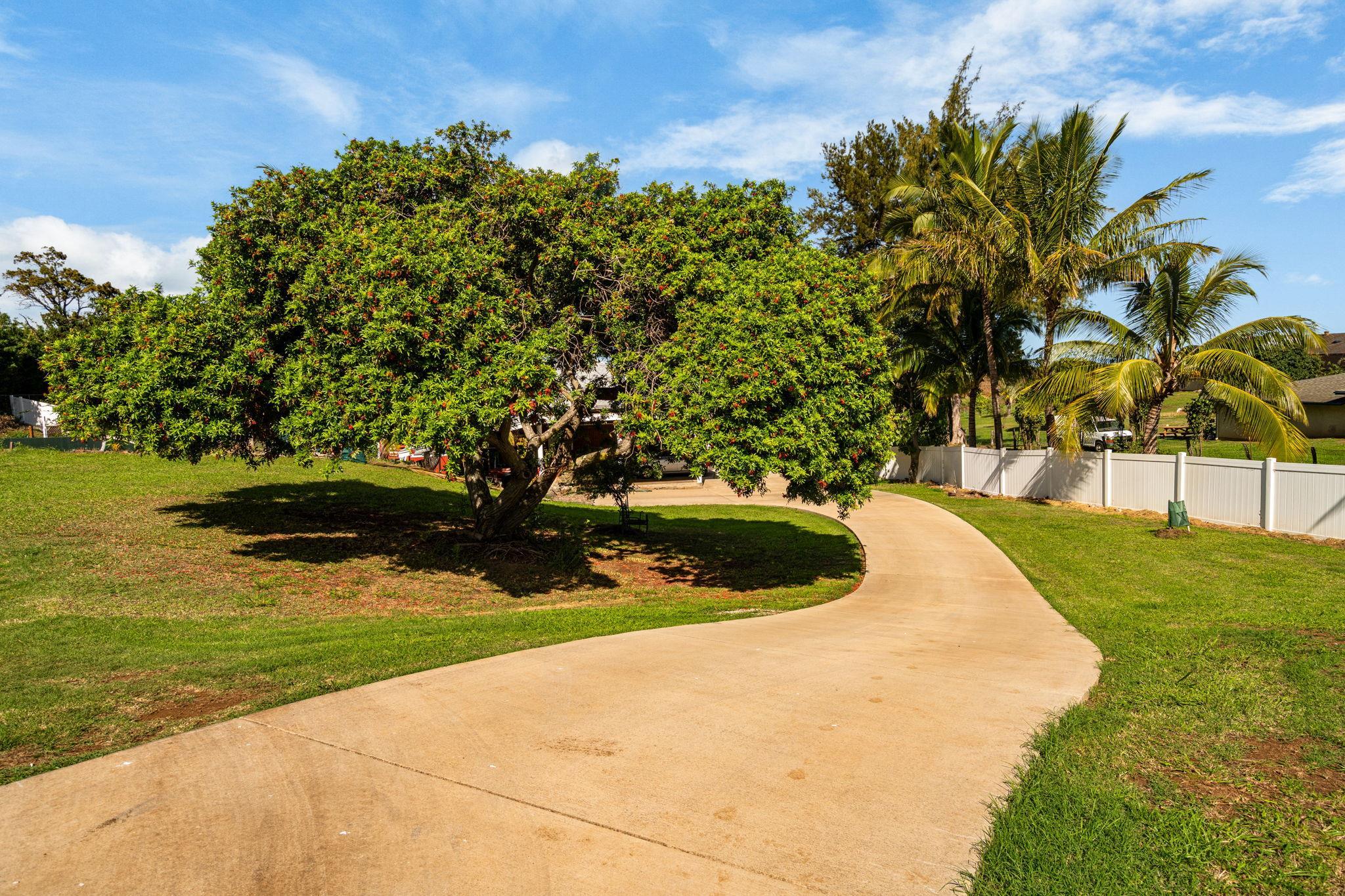 223  Pau Hana Rd Pau Hana Estates, Makawao/Olinda/Haliimaile home - photo 40 of 50