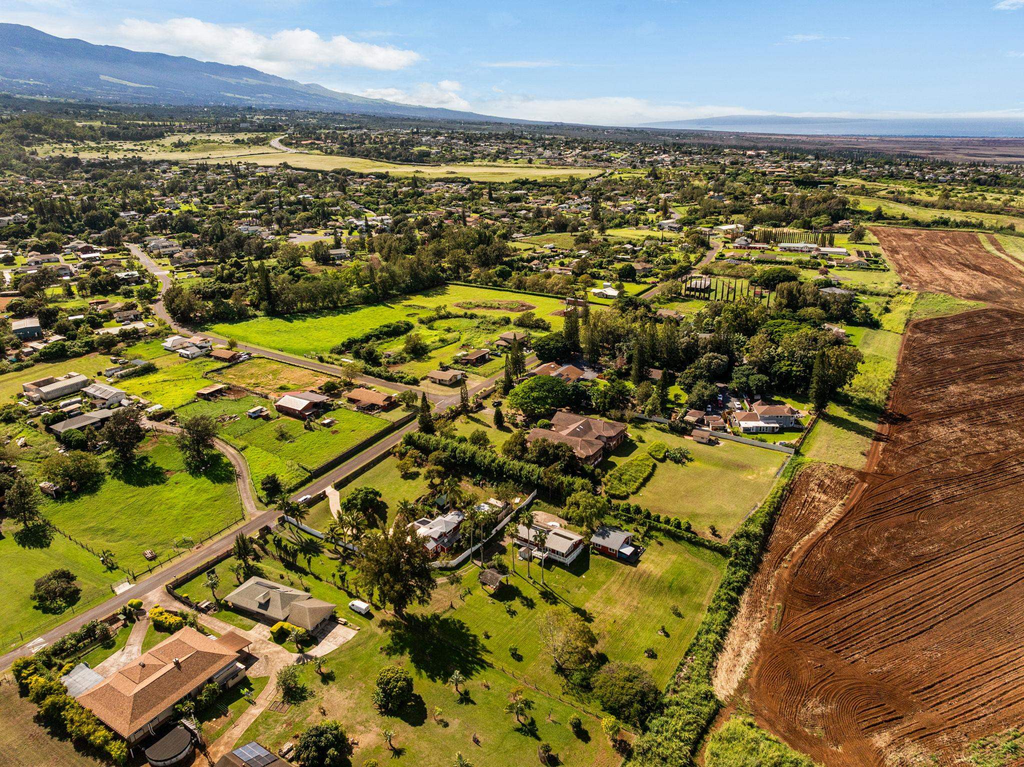223  Pau Hana Rd Pau Hana Estates, Makawao/Olinda/Haliimaile home - photo 41 of 50