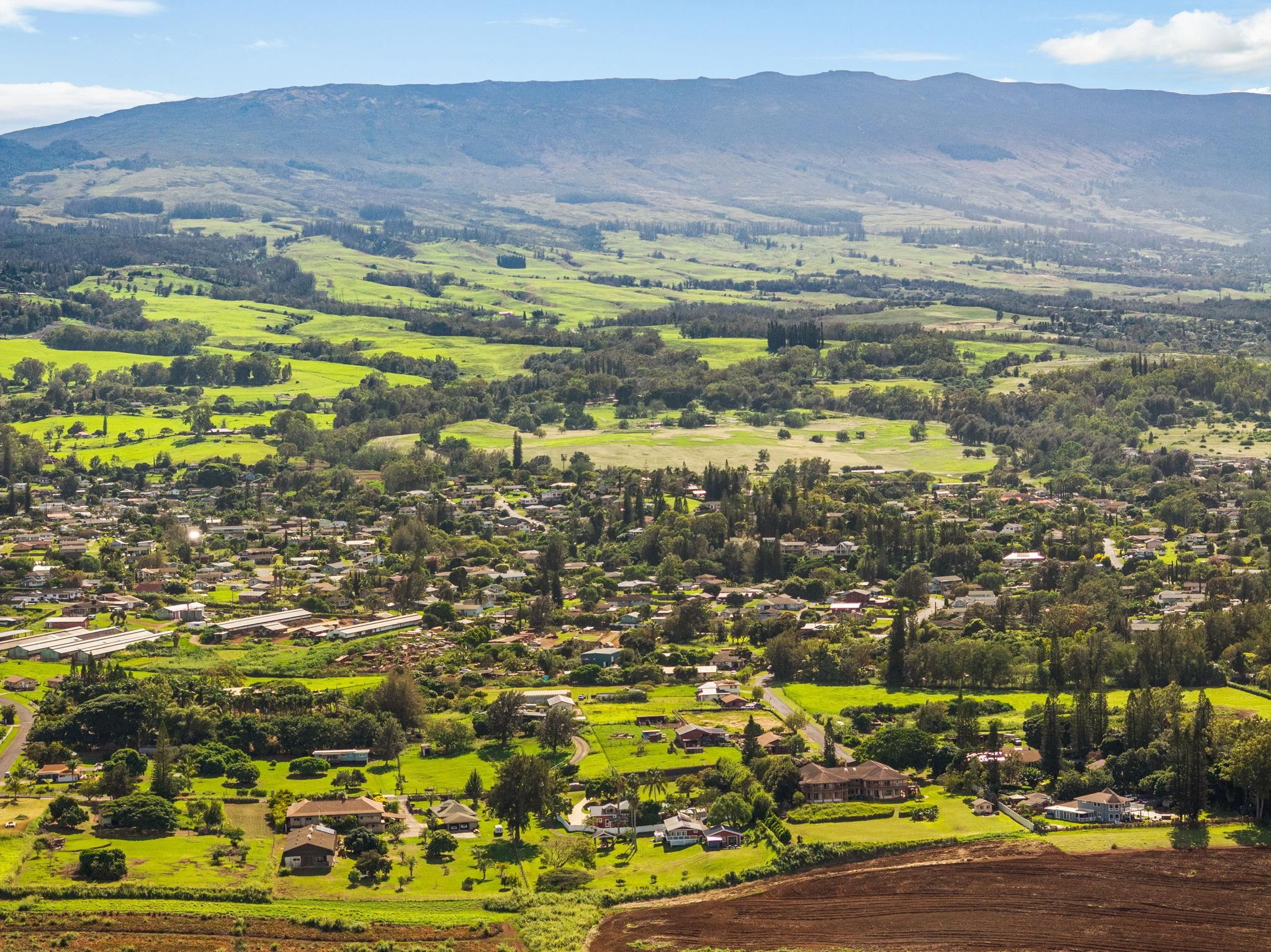 223  Pau Hana Rd Pau Hana Estates, Makawao/Olinda/Haliimaile home - photo 44 of 50
