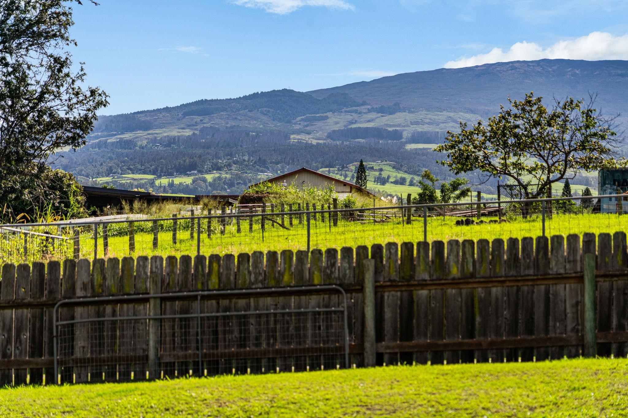 223  Pau Hana Rd Pau Hana Estates, Makawao/Olinda/Haliimaile home - photo 9 of 50