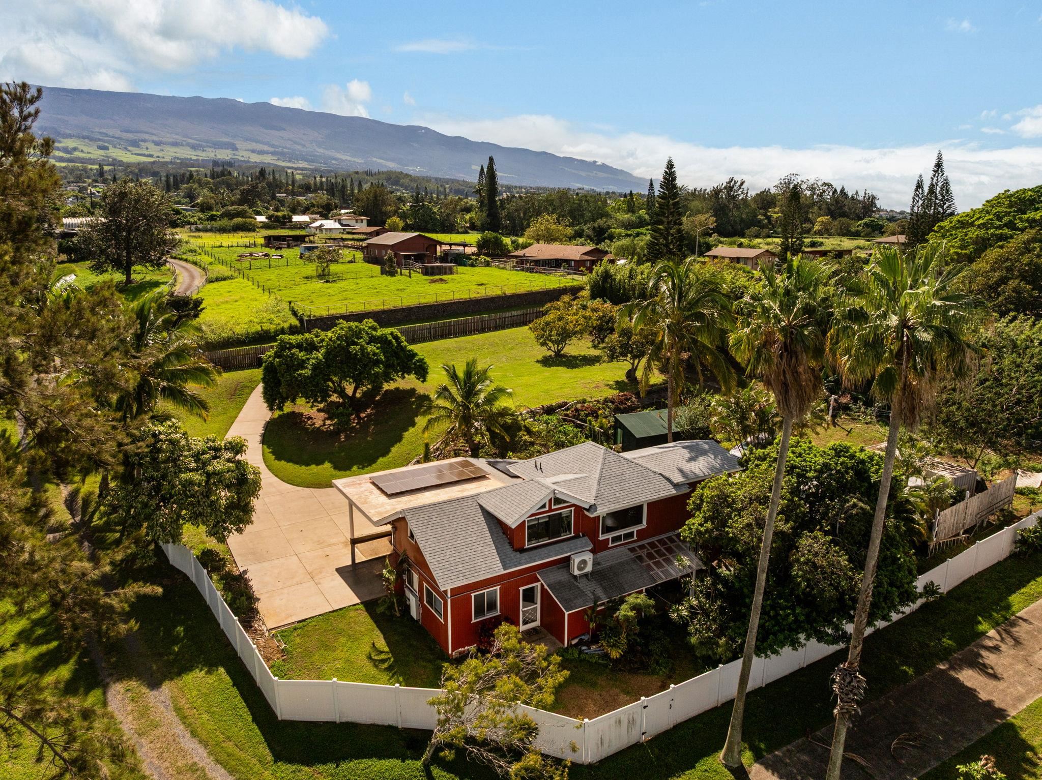 223  Pau Hana Rd Pau Hana Estates, Makawao/Olinda/Haliimaile home - photo 10 of 50
