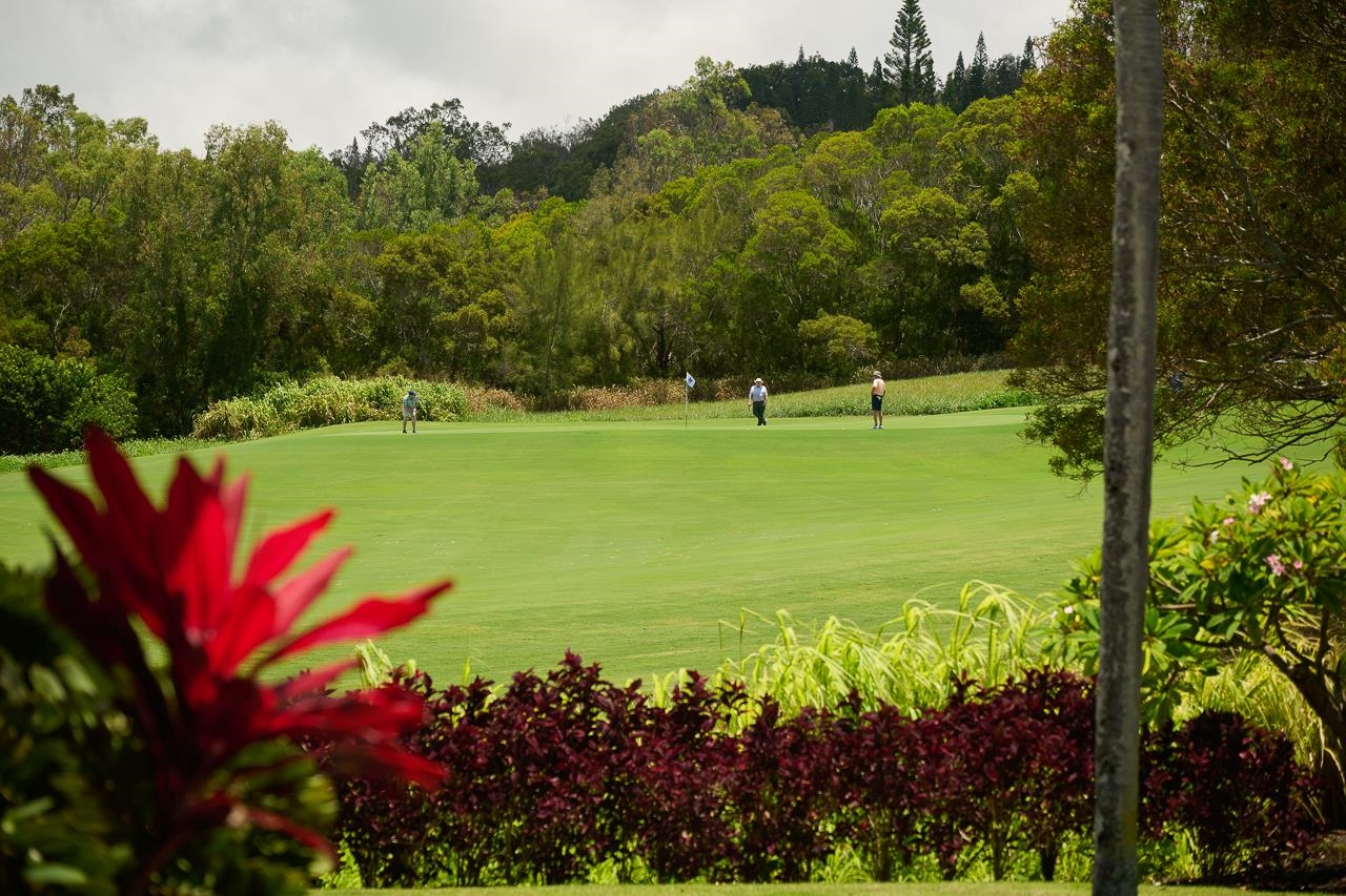 223  Plantation Club Dr Kapalua, Kapalua home - photo 7 of 50