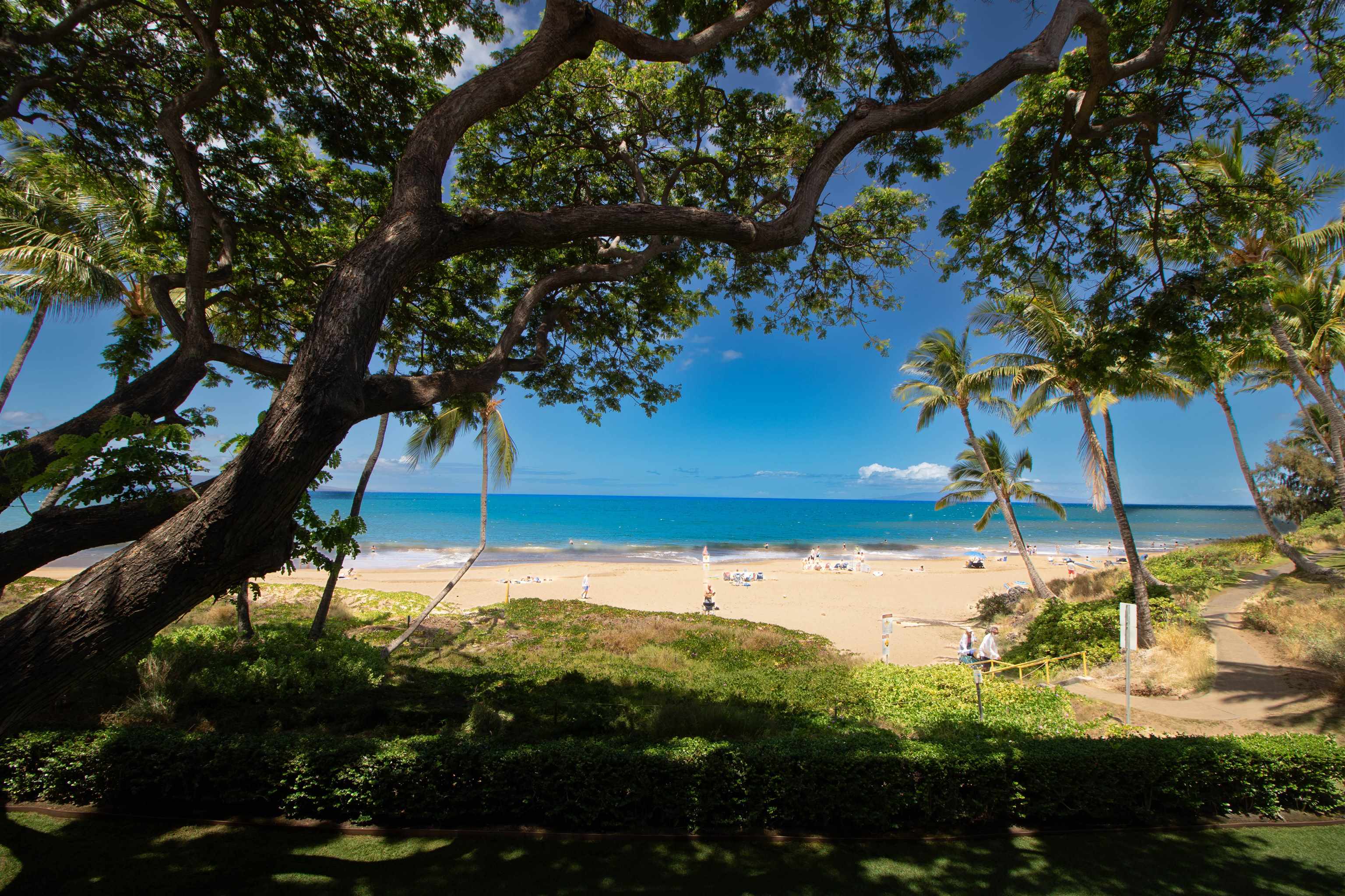 Kamaole One condo # 9, Kihei, Hawaii - photo 8 of 49