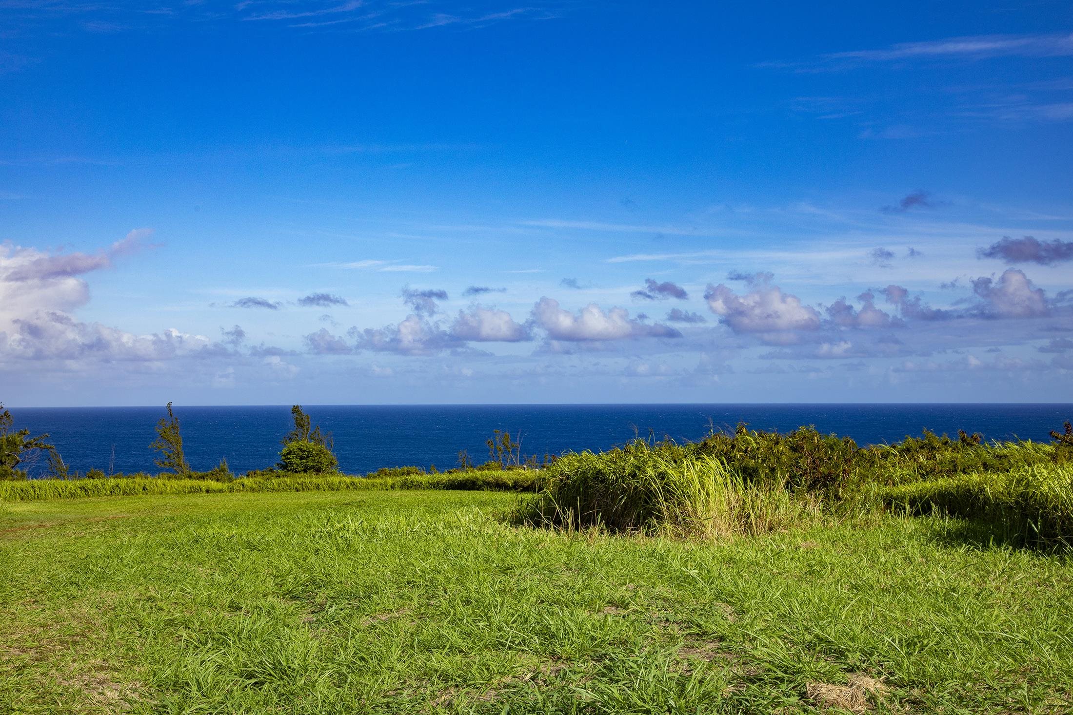 2233 Hana Hwy Hwy  Haiku, Hi vacant land for sale - photo 2 of 15