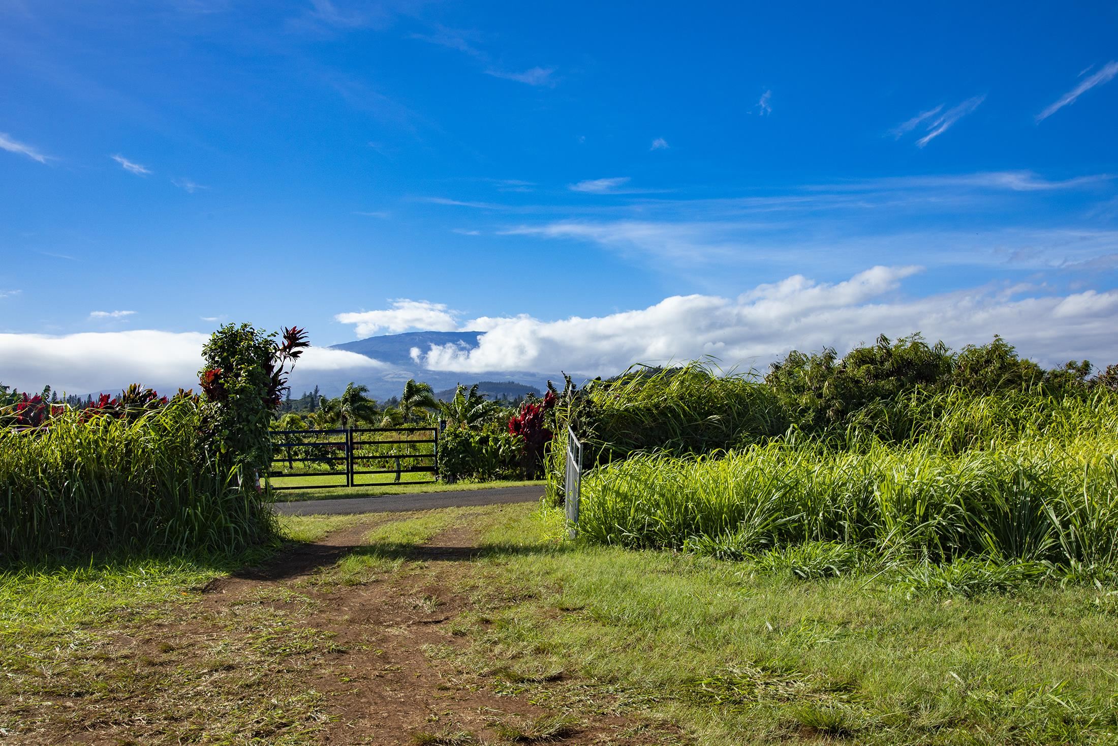 2233 Hana Hwy Hwy  Haiku, Hi vacant land for sale - photo 14 of 15