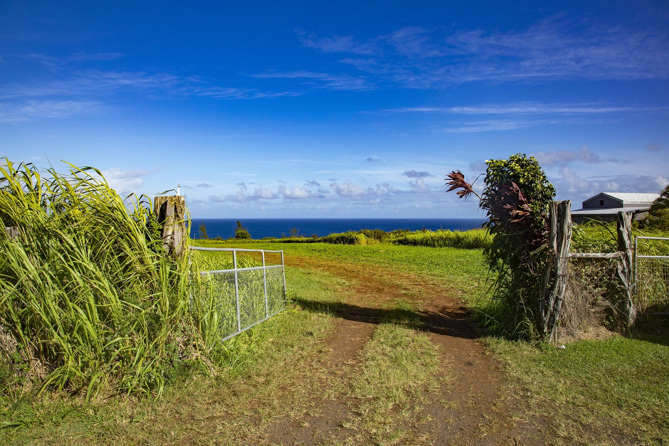 2233 Hana Hwy Hwy  Haiku, Hi vacant land for sale - photo 15 of 15