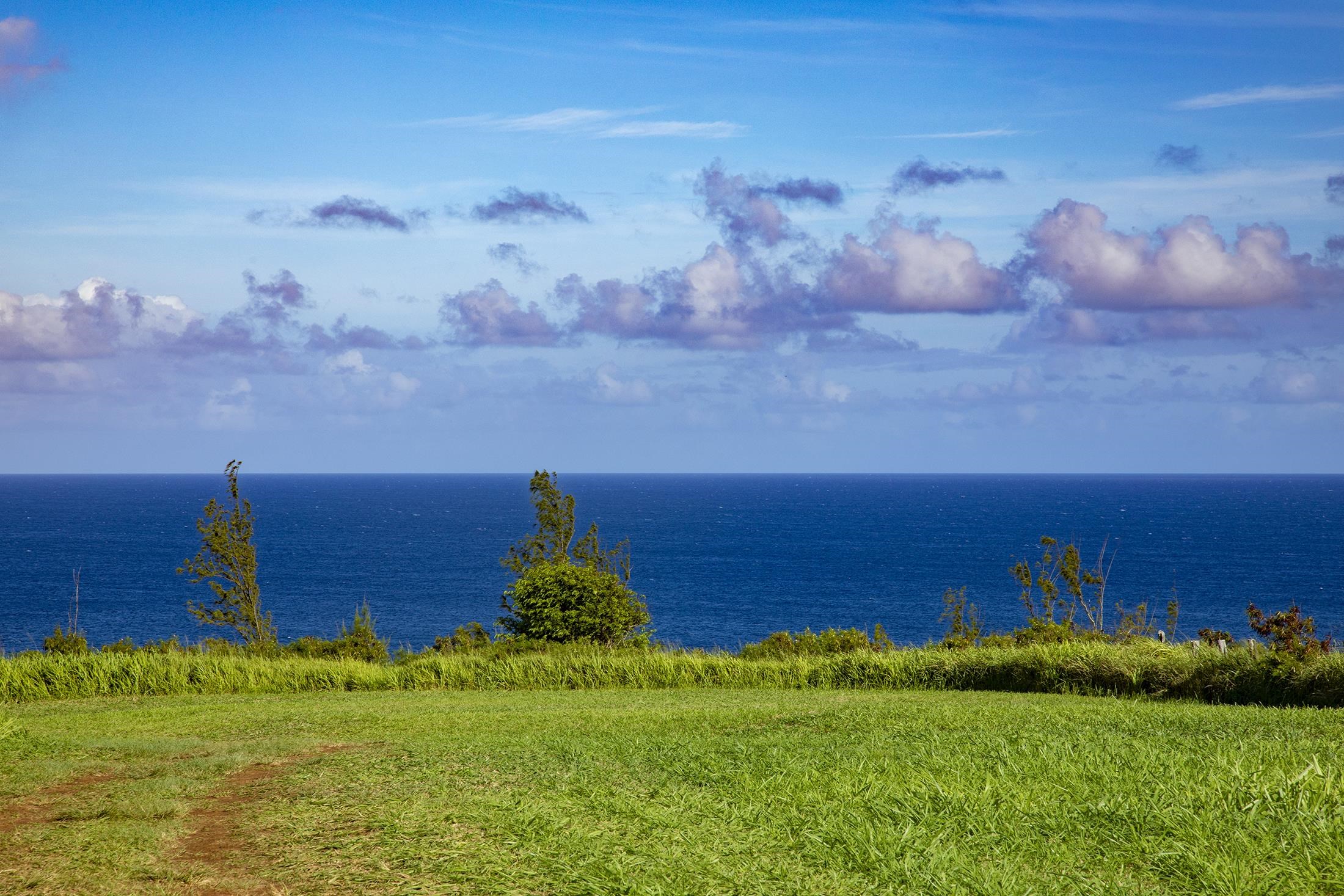 2233 Hana Hwy Hwy  Haiku, Hi vacant land for sale - photo 3 of 15