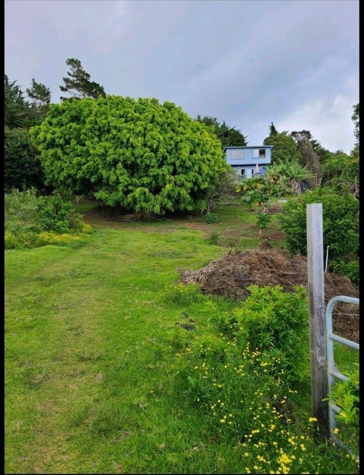 2239  Upper Kanaio Rd , Kula/Ulupalakua/Kanaio home - photo 23 of 23