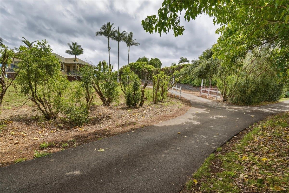 2255  Lower Kula Rd , Kula/Ulupalakua/Kanaio home - photo 43 of 50