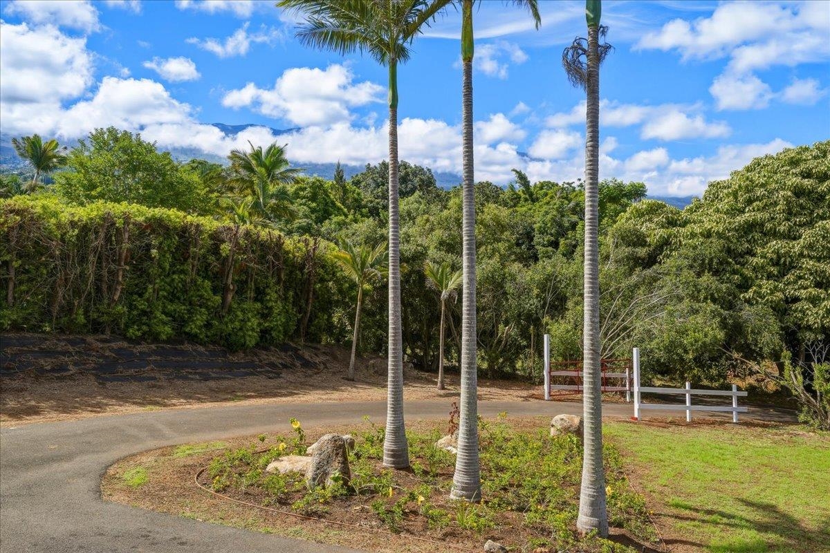 2255  Lower Kula Rd , Kula/Ulupalakua/Kanaio home - photo 46 of 50