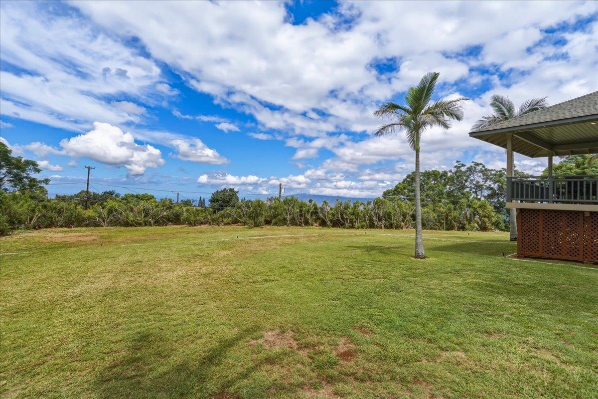 2255  Lower Kula Rd , Kula/Ulupalakua/Kanaio home - photo 47 of 50