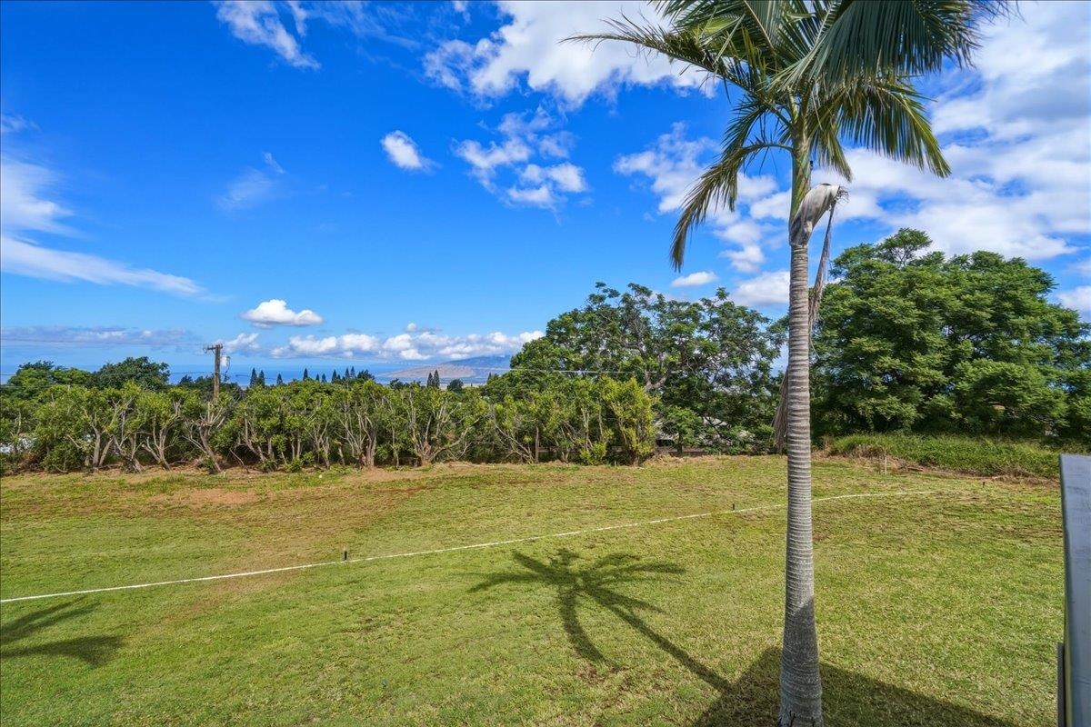 2255  Lower Kula Rd , Kula/Ulupalakua/Kanaio home - photo 49 of 50