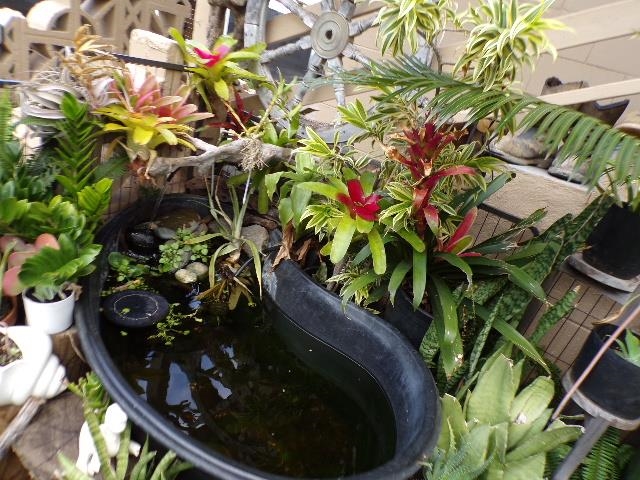 2259  Mokuhau Rd Wailuku, Wailuku home - photo 9 of 27