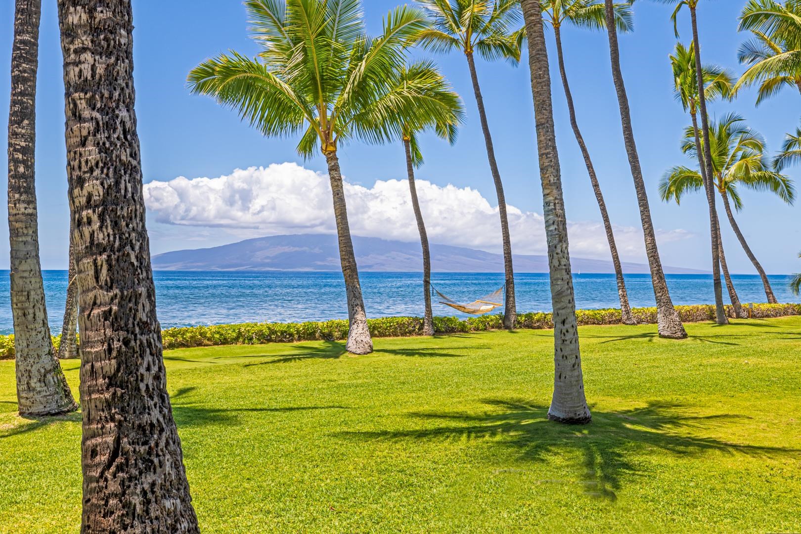 Puamana condo # 226-6, Lahaina, Hawaii - photo 3 of 44