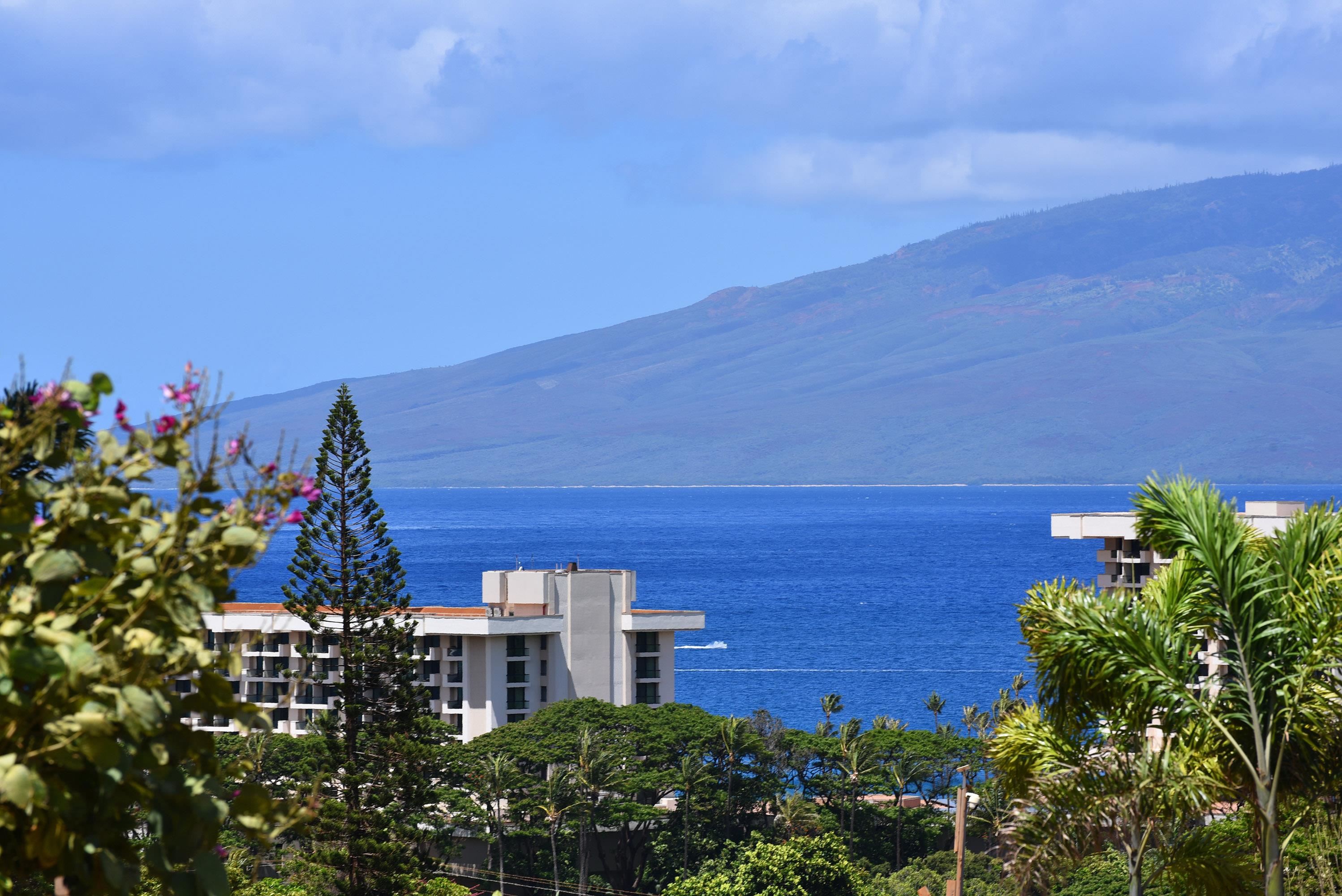 227  Anapuni Loop Kaanapali Golf Estates, Kaanapali home - photo 43 of 45