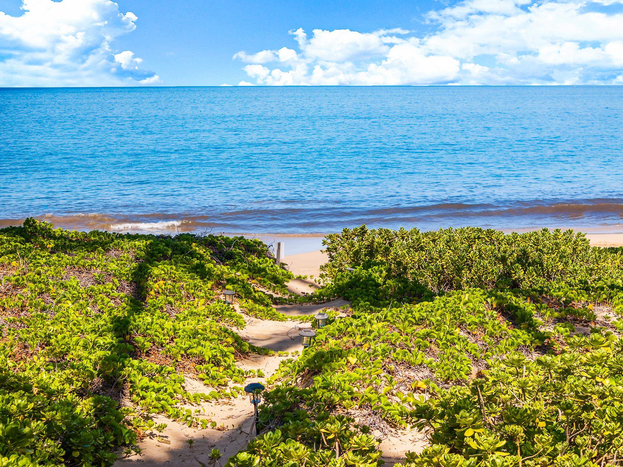 2274  Kihei Rd Kamaole Beach I, Kihei home - photo 3 of 42