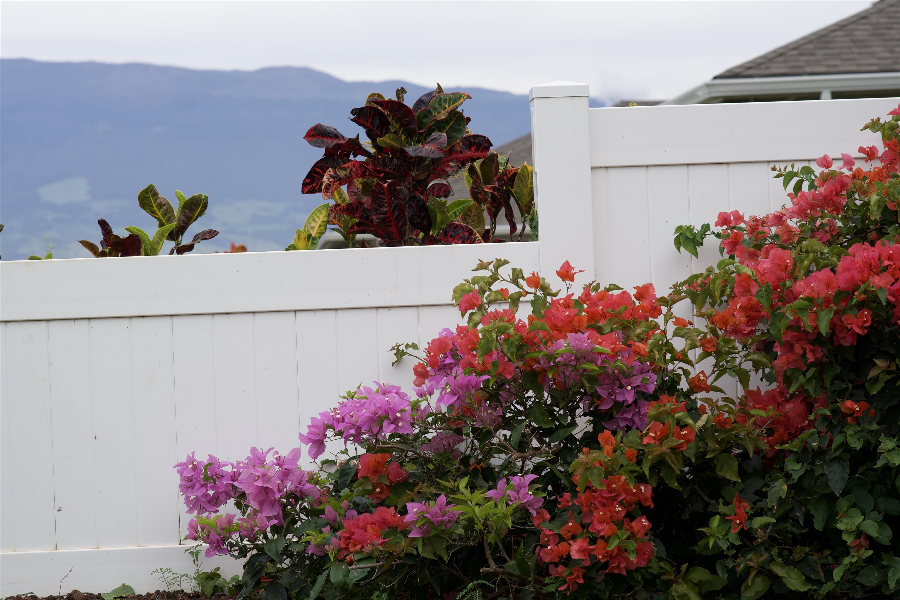 229  Kilio'opu St Highlands, Wailuku home - photo 29 of 35