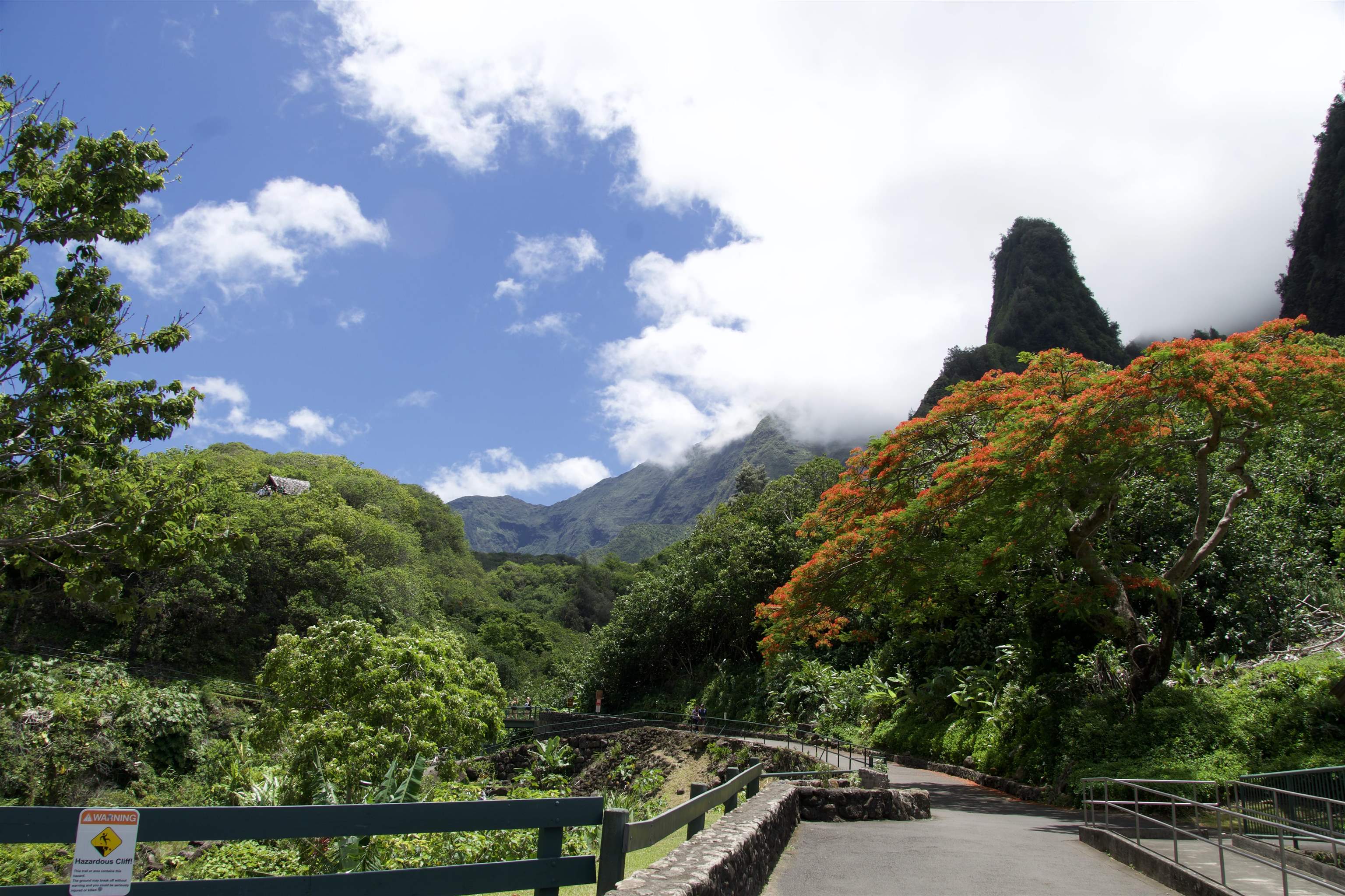 229  Kilio'opu St Highlands, Wailuku home - photo 34 of 35