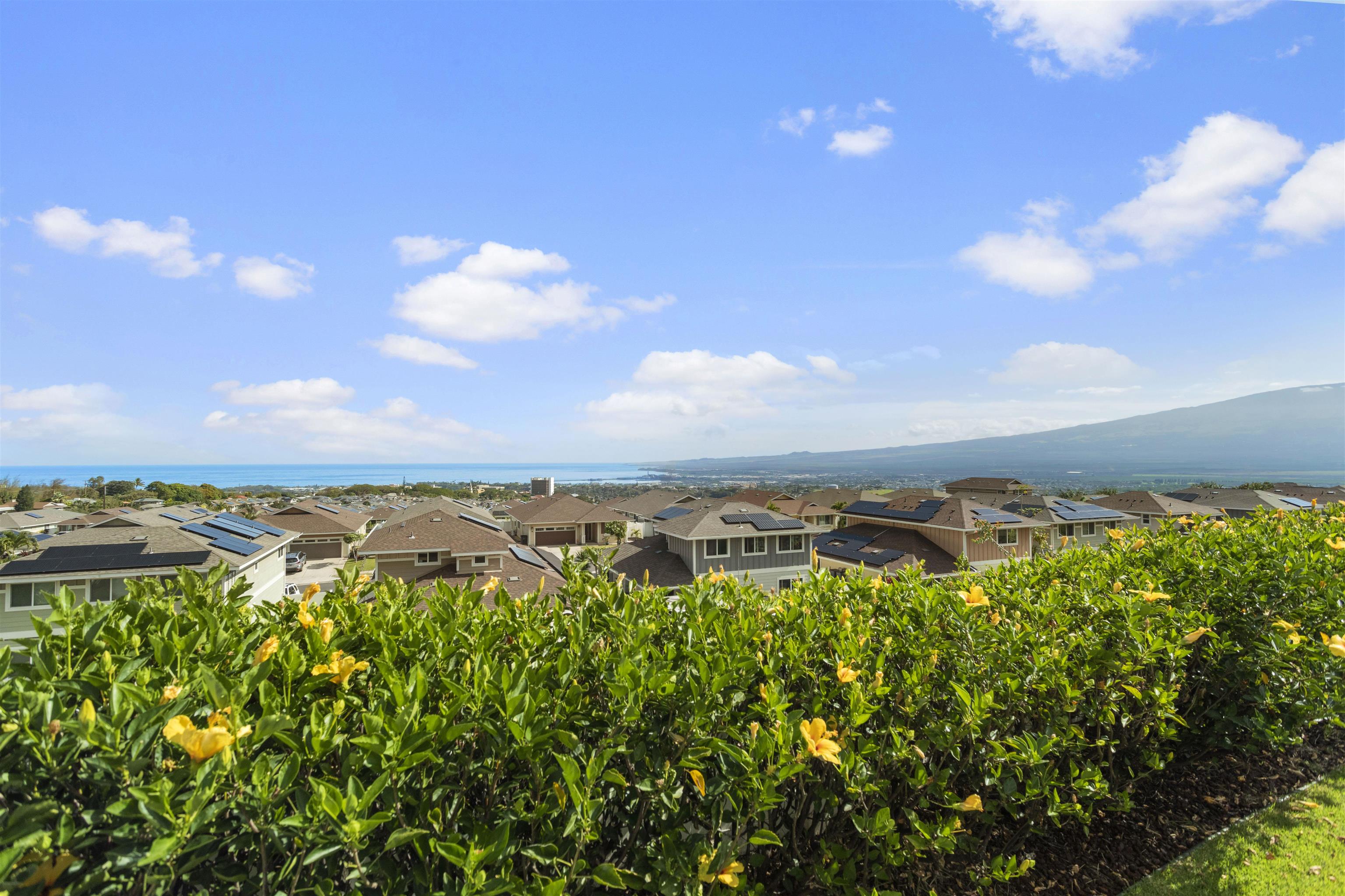 229  Kili'o'opu St Highlands, Wailuku home - photo 35 of 42