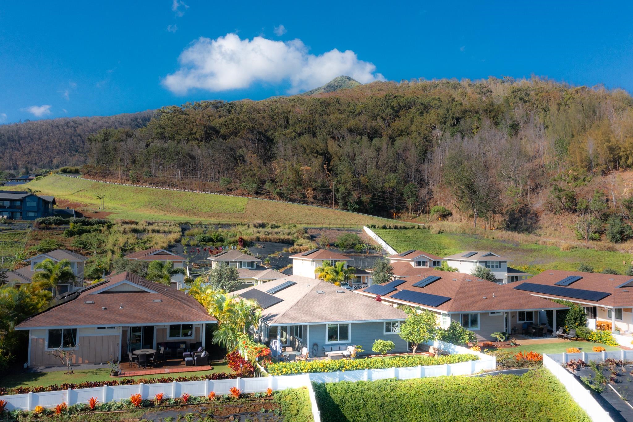 229  Kili'o'opu St Highlands, Wailuku home - photo 41 of 42