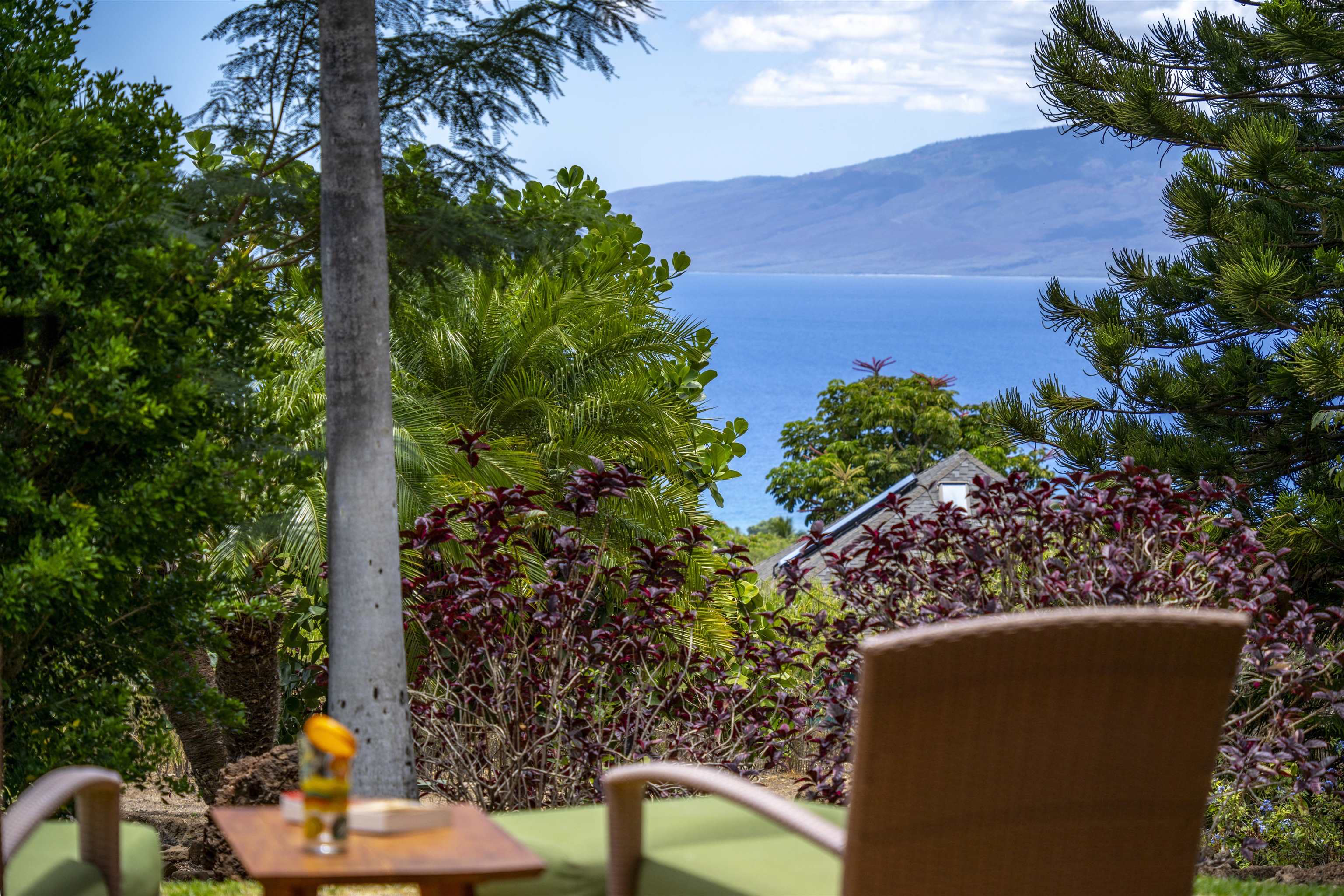 23  Huapala Pl Launiupoko, Lahaina home - photo 29 of 37