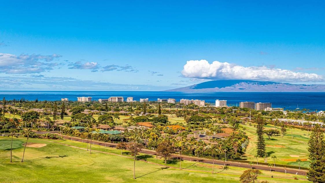 23  Kahuakai Pl Kaanapali, Kaanapali home - photo 49 of 50