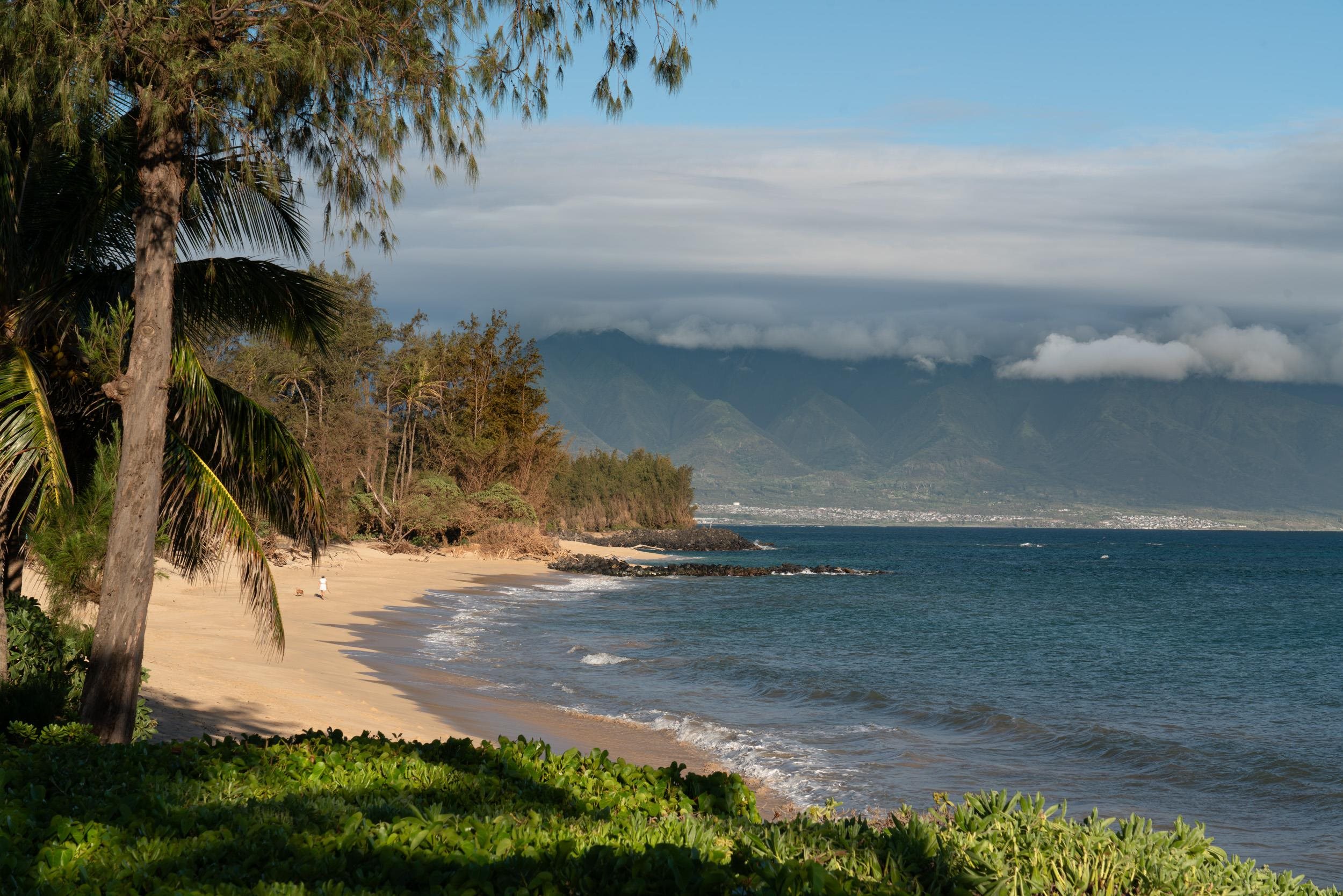 23  Nalu Pl Paia Town, Spreckelsville/Paia/Kuau home - photo 45 of 50